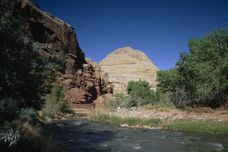 A quiet stream runs below the layered sandstone cliffs of the Great White Throne in Zion National Park, Utah.